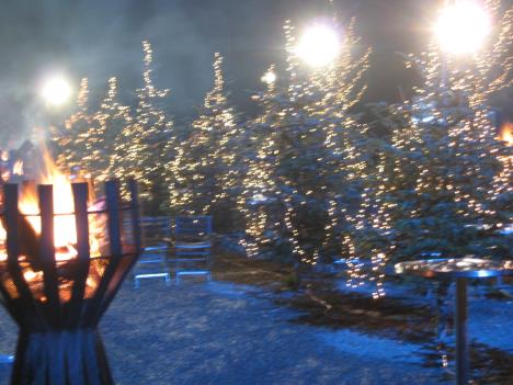 Silvester 100.jpg   32kb   26.03.2021 22:34:34